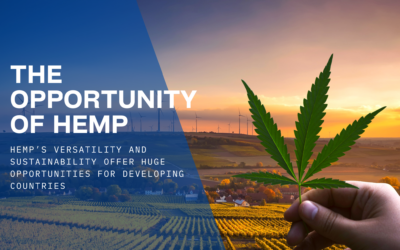 Hemp’s versatility and sustainability offer huge opportunities for developing countries